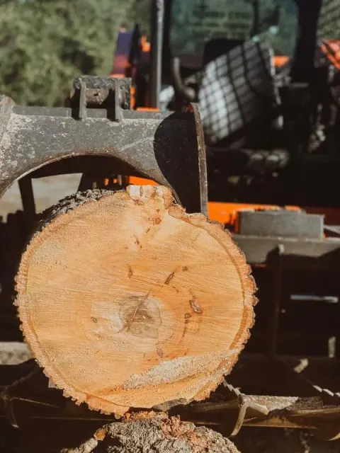 Grapple loader carrying a massive fresh-cut log section during fallen tree cleanup in DeLand, FL